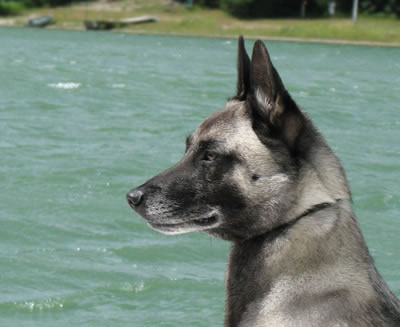 Stryker at Lake Emily - Summer 2008